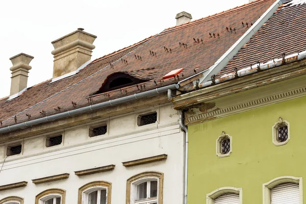 Kafelkami dachami starych domów — Zdjęcie stockowe