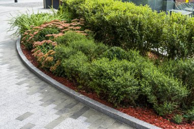 Bahçenizi süs çalılar ve herdem yeşil bir parkta