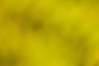 Yeşil arka plan bulanık ve güneş ışığı soyut