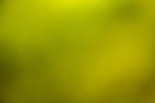 Абстрактный размытый зеленый фон и солнечный свет — стоковое фото