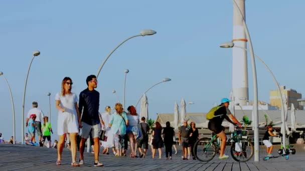 Tel Aviv, Isr - 17 ottobre 2016: Old Tel Aviv Port. è una destinazione di viaggio popolare del distretto commerciale e di intrattenimento — Video Stock