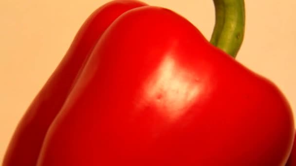 Red Bell Pepper Rotating in Front of Camera — Stock Video