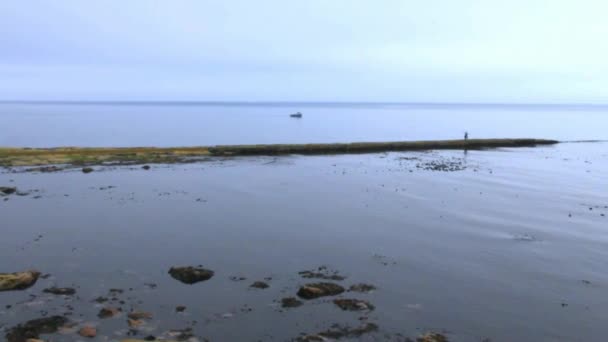 Уитли Бэй. Низкий прилив. Восточное побережье Англии ранним утром — стоковое видео