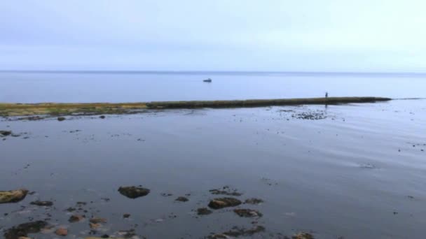 Whitley Bay. Bassa marea. East Coast of England alle prime ore del mattino — Video Stock