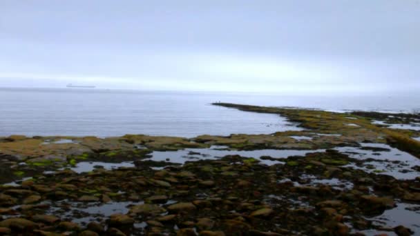 Whitley Bay. Low Tide. East Coast of England at Early Morning Time — Stock Video