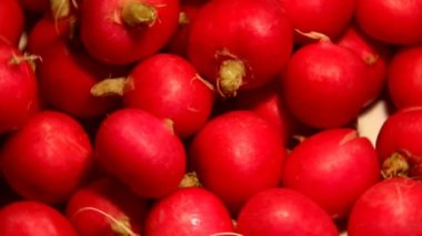 Turp grup kamera önünde döner. HD Video.