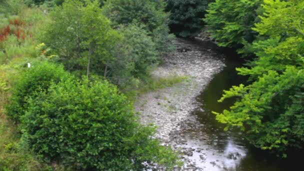 Pequeño río en la región de Highlands, Escocia — Vídeo de stock