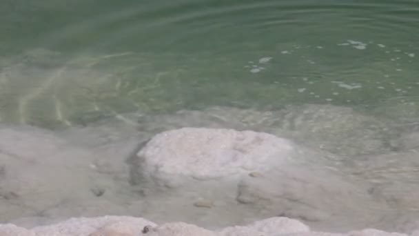 Döda havet stranden — Stockvideo