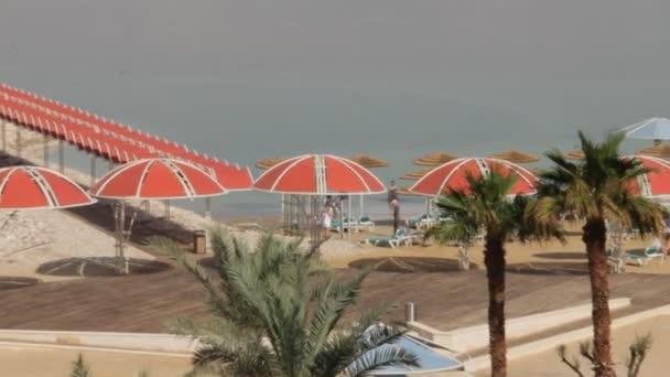 Mar Morto e spiaggia dell'hotel — Video Stock