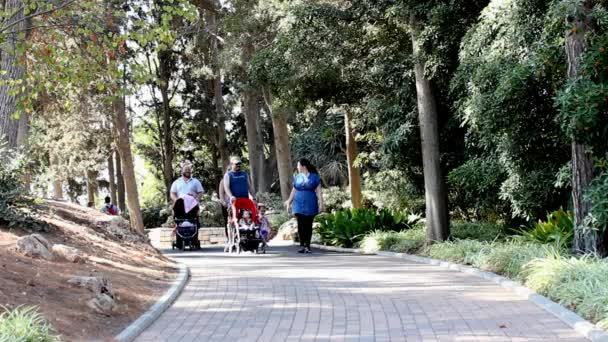 Deux jeunes couples avec enfants et poussettes dans le parc de Rothschild — Video