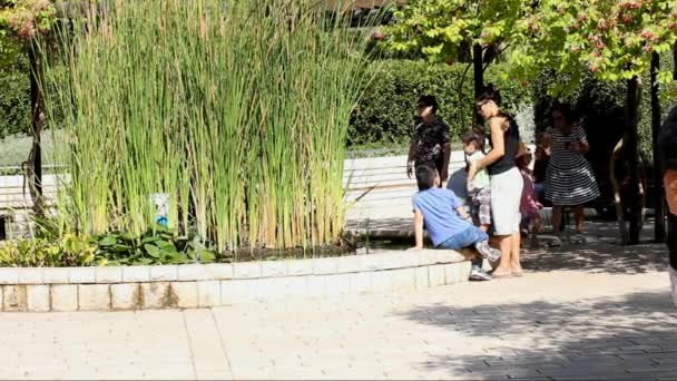 Park van Rothschild. Ramat Hanadiv. Memorial tuinen en het natuurpark — Stockvideo