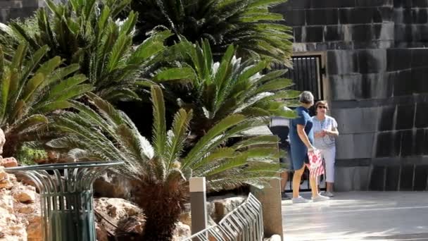 Visiteurs près de la porte d'entrée de la tombe familiale Rothschild Ramat Hanadiv. Jardins commémoratifs et parc naturel — Video