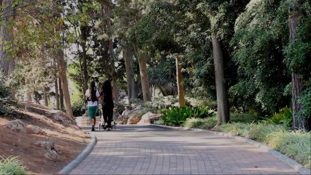 Casal jovem com crianças e transporte de bebê no parque — Vídeo de Stock