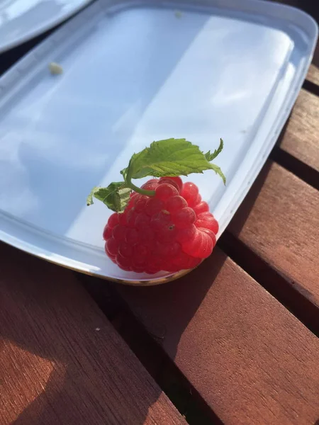 정원 나무 테이블에 플라스틱 쟁반에 녹색 전단지와 함께 한 빨간 딸기 — 스톡 사진