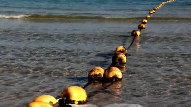 Boyas en la superficie del agua — Vídeo de stock