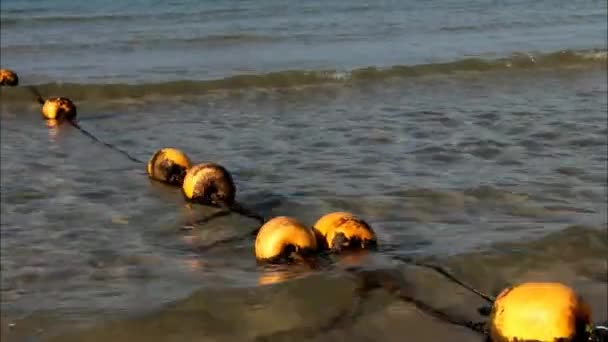 Boyas en la superficie del agua — Vídeo de stock