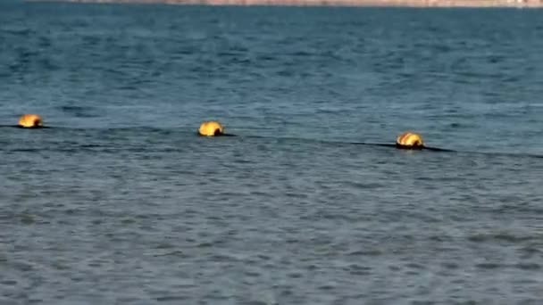 Şamandıralar su yüzeyinde — Stok video