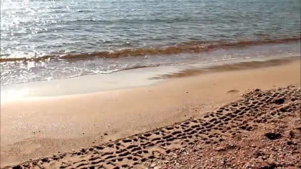 Sluneční skvrny světla na povrchu tropické moře — Stock video