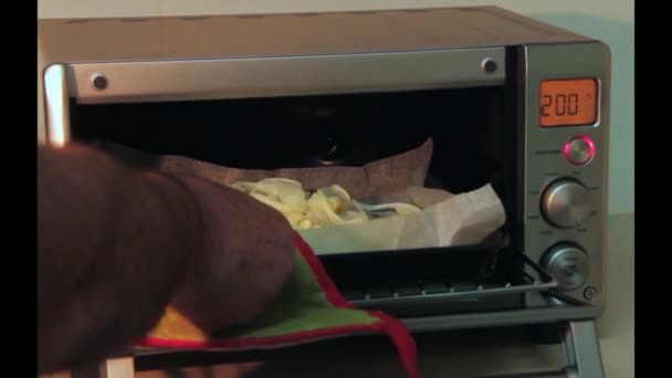 Horno eléctrico moderno. Alguien está abriendo la puerta y verificando si los pedacitos de pescado están hechos . — Vídeos de Stock