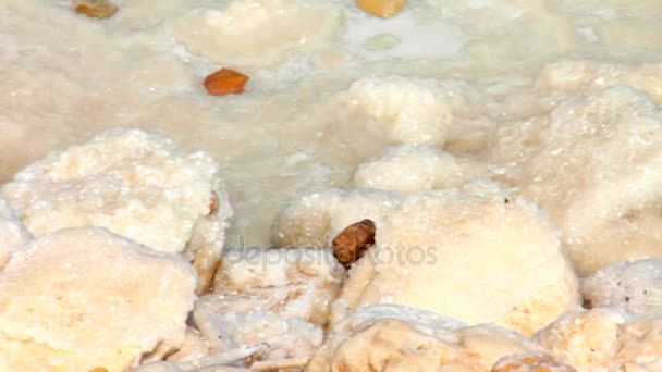 Corteza de sal marina sobre piedras en la costa del Mar Muerto — Vídeos de Stock