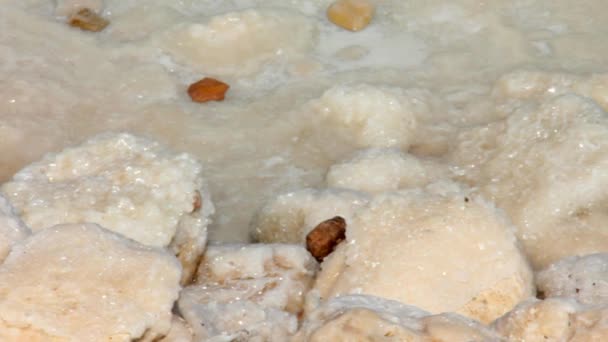 Κρούστα από αλάτι της θάλασσας, πάνω σε πέτρες στις ακτές της Νεκράς θάλασσας — Αρχείο Βίντεο