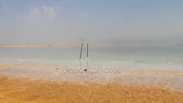 Salt Shore e bella acqua di colore del Mar Morto . — Video Stock