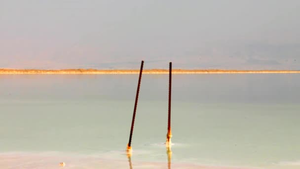 Salt Shore and Beautiful Color Water of the Dead Sea. — Stock Video