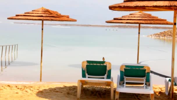 Sun Loungers on the Shores of the Dead Sea. Israel — Stock Video