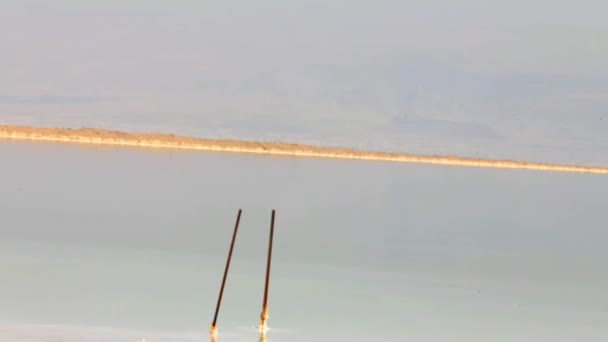 Salt Shore and Beautiful Color Water of the Dead Sea. — Stock Video