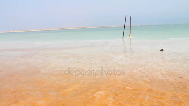 Salt Shore and Beautiful Color Water of the Dead Sea. — Stock Video