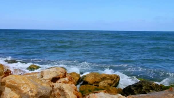 Akdeniz 'in dalgaları — Stok video