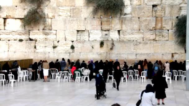 Mulheres não identificadas rezando no Muro das Lamentações (Muro Ocidental ) — Vídeo de Stock
