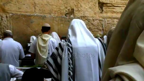 Muchos Judíos Religiosos en Blanco Tradicional Orando Cerca del Muro Occidental — Vídeos de Stock