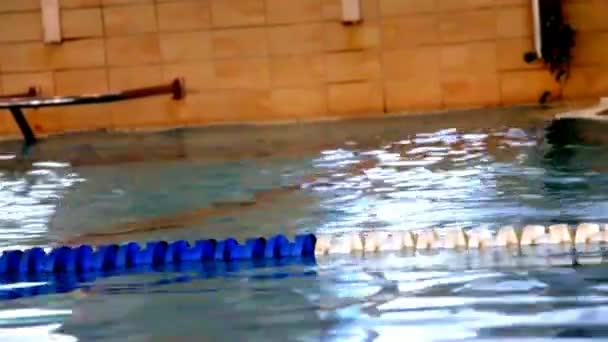 Homem de meia-idade nadando no rastejamento na piscina interior — Vídeo de Stock