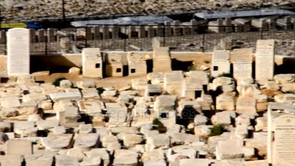 Antigo Cemitério Judaico no Monte das Oliveiras Jerusalém. Israel — Vídeo de Stock