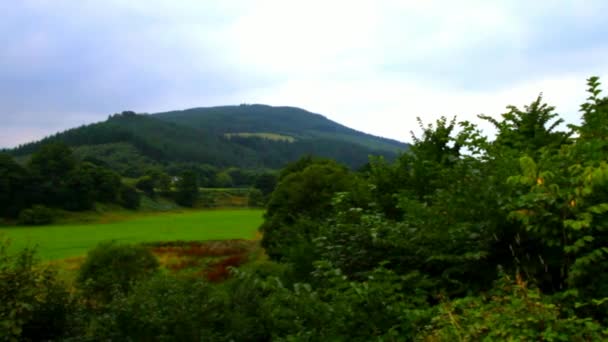 Scoția Highlands Peisaj la Ziua Înnorată de Vară — Videoclip de stoc