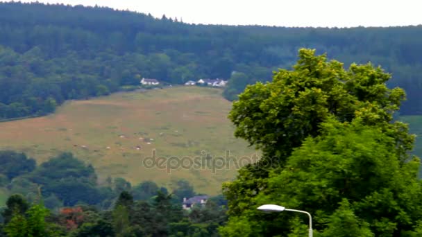 Krajina vysočiny Skotska v létě zamračený den — Stock video