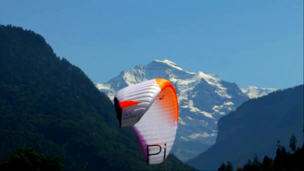 Gleitschirme vor den Berner Alpen und schneebedeckter Jungfrauspitze im Berner Oberland — Stockvideo