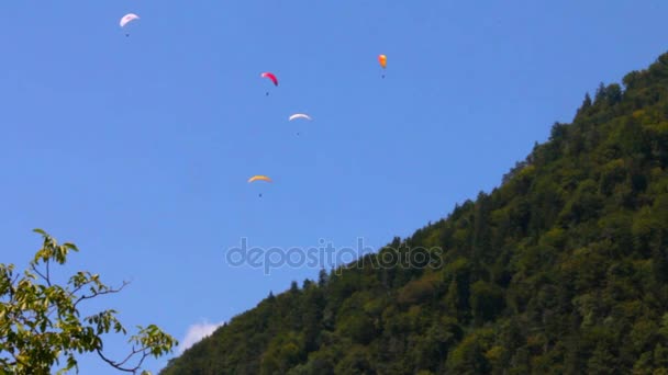 Parapentes em frente ao Monte Harder Kulm. Bernese Alps, Bernese Oberland, Suíça . — Vídeo de Stock