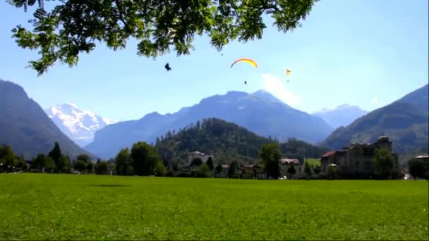 Parapentes em frente aos Alpes Berneses e Pico nevado de Jungfrau em Bernese Oberland — Vídeo de Stock