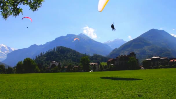 Paraglidisty u Bernských Alp a zasněžený vrchol Jungfrau ve Bernském Oberlandu — Stock video