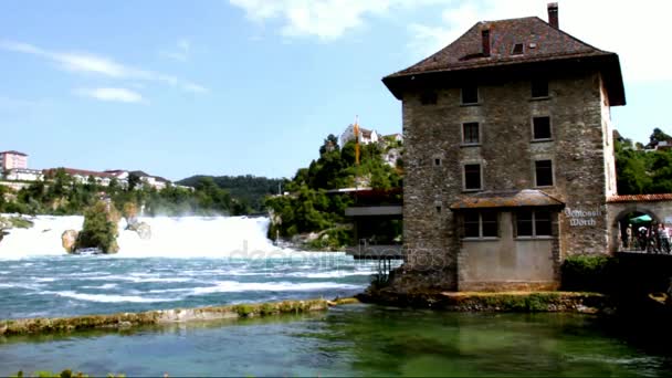 Rhine Falls on Blue Sky Background From Germany Side — Stock Video