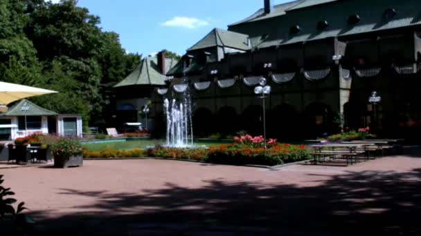 Fountain in the Courtyard of the Theater — Stock Video