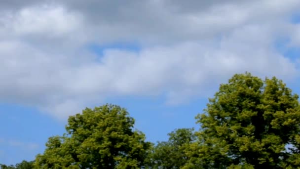 Nuages flottants lentement dans le ciel bleu — Video