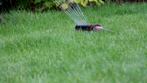 Apparaat voor het drenken van Turf — Stockvideo