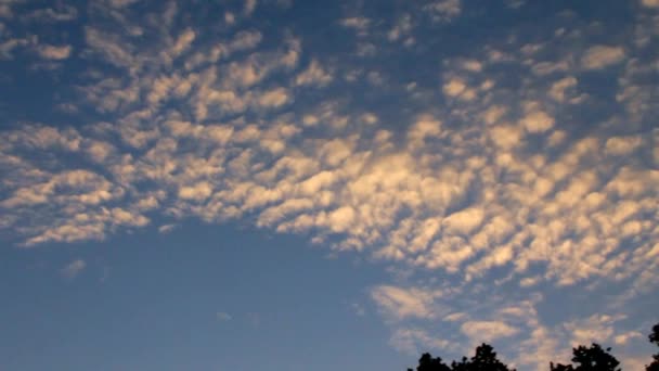 Sky Over bos bij zonsondergang — Stockvideo