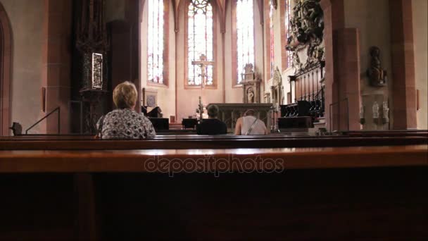 Katolik Kilisesi. Katholisch Stiftskirche. Baden-Baden. Almanya. — Stok video