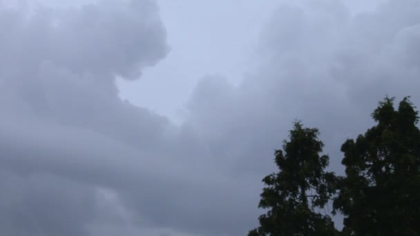 Небо над лесом после Рейна — стоковое видео