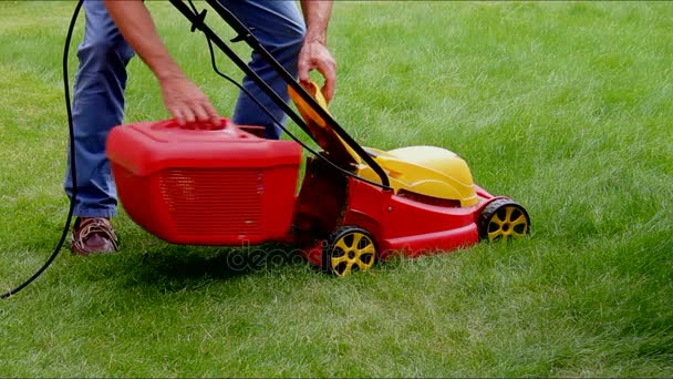 Homme coupe pelouse avec tondeuse à gazon électrique . — Video