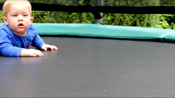 Blonde schattig jongetje kruipen op een Trampoline — Stockvideo